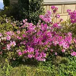 別荘 Villino Tarlarini ラヴェーノ・モンベッロ
