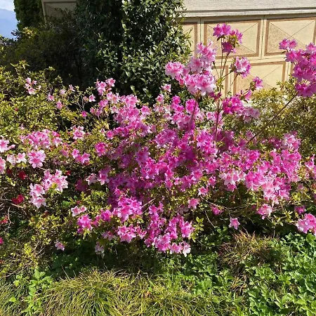 Ferienhaus Villino Tarlarini Laveno-Mombello