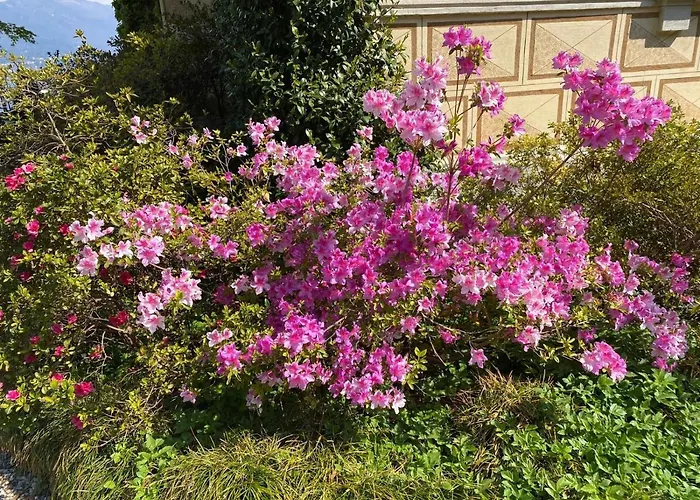 펜션 Villino Tarlarini 라베노-몸벨로